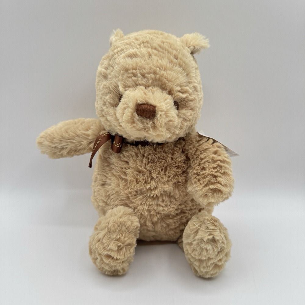 Disney Baby Winnie the Pooh My Sweetest Adventures Ribbon Plush Stuffed Animal